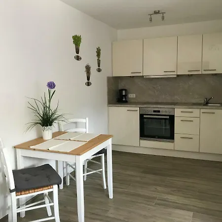 Haus Sonnenschein Str 10 公寓